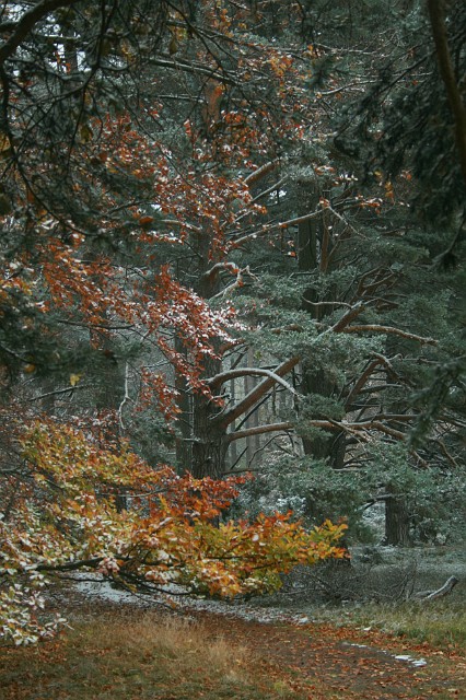 Raichberg 2007 Bild 25